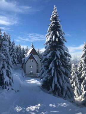 Pekakop Treska